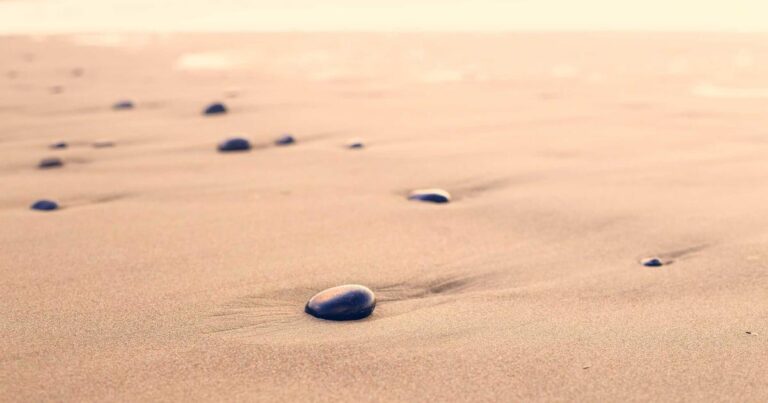 Training Loops: Loss Functions, Optimizers, and Learning Rate Scheduling
